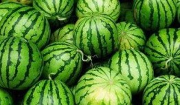 吃瓜部落免费,免费娱乐背后的故事