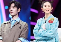 谢娜和肖战最新爆料视频,幕后故事与精彩瞬间