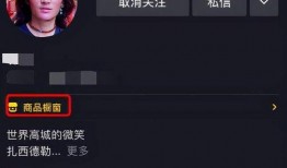 丁真被奇点爆料视频,揭秘网红背后的故事