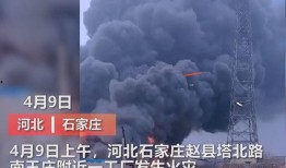 沧州爆料媒体曝光视频播放,视频曝光事件引发社会关注