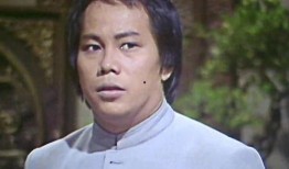 梁小龙版陈真在线观看,热血江湖，拳拳到肉，在线重温经典传奇