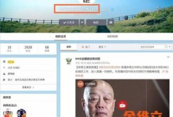 黄猿爆料直播回放视频,独家爆料背后的精彩瞬间