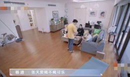 大连学校爆料事件视频,真相与争议交织的校园风云