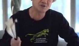 娱乐爆料黄晓明视频,娱乐爆料背后的惊人真相
