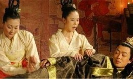 为了皇帝 手机在线观看,揭秘宫廷权谋与家国情怀