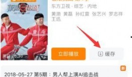 综艺视频爆料大全下载安装,热门节目幕后揭秘，下载安装攻略一网打尽