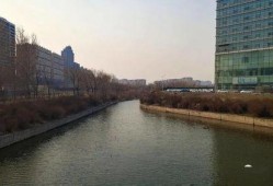 长春荷园路最新爆料,揭秘荷园路改造背后的故事