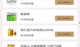 扁鹊会 视频在线观看,揭秘古代医学大师的智慧与传承