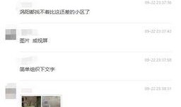 涡阳丑事爆料视频大全,一场场惊人事件的背后真相