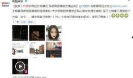 近期网红被爆料视频,揭秘背后真相与争议