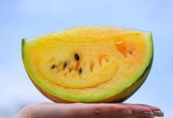 云南昆明吃瓜爆料视频,一场关于瓜子的风云际会