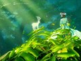 逆水寒最新爆料2.23,揭秘游戏新篇章与神秘角色