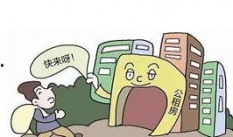 新闻爆料公租房诈骗事件,揭露租房市场的黑色陷阱