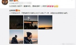 娱乐爆料黄晓明视频,娱乐爆料背后的惊人真相