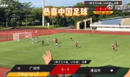 辽宁爆料假球视频播放,揭秘假球视频引发足球界轩然大波